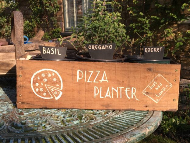 How To Make A Pizza Planter