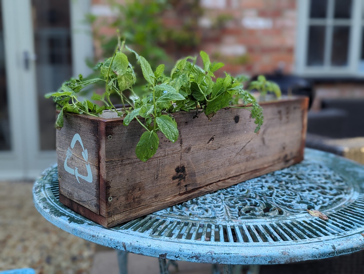 PXL 20231015 072627076.PORTRAIT